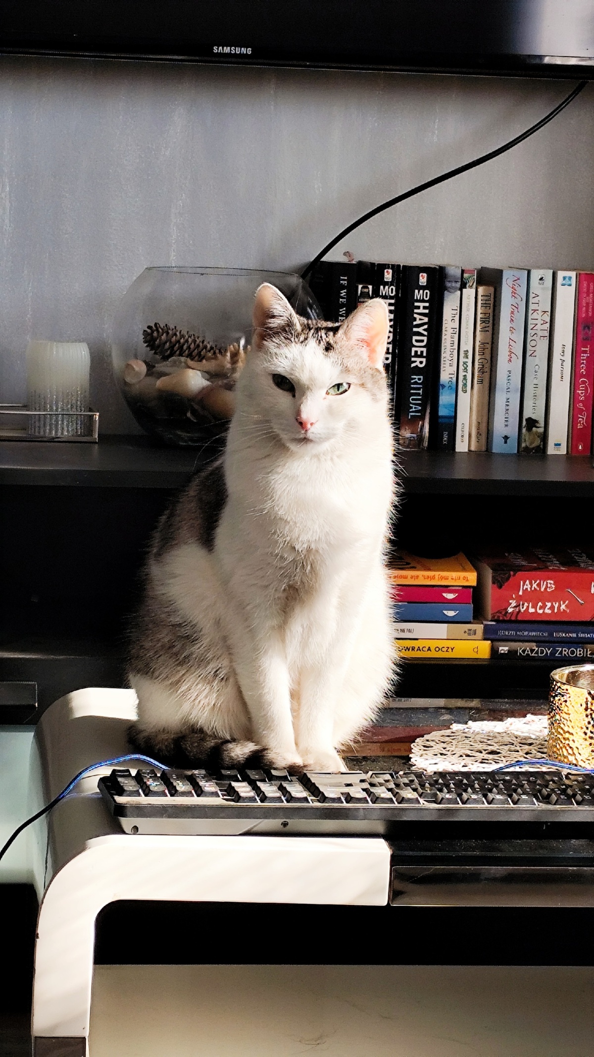 45813a49-ac9a-4a1b-8bd4-72be408b4a77