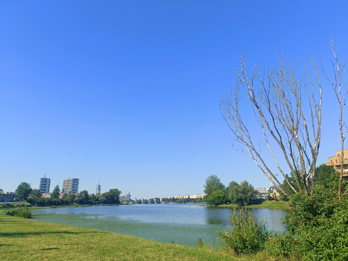 16847f36-df17-4215-8e90-3baf531c5a00