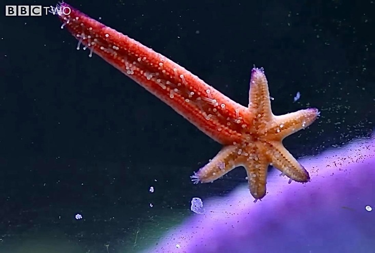 a9138fa8-6b16-40a5-96cf-66b13a1c90cb