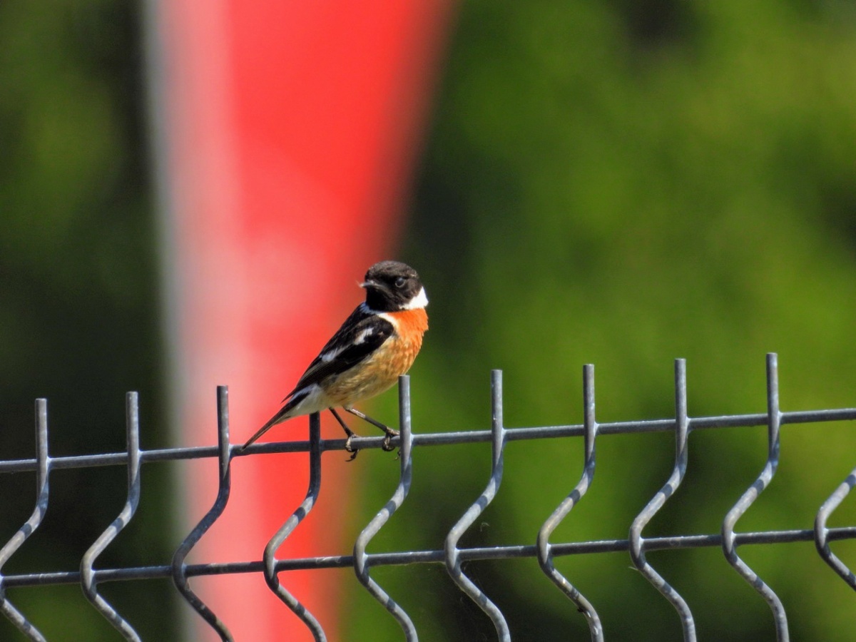 4e1a395c-0a1c-4583-bb7d-1cefcc98cd46