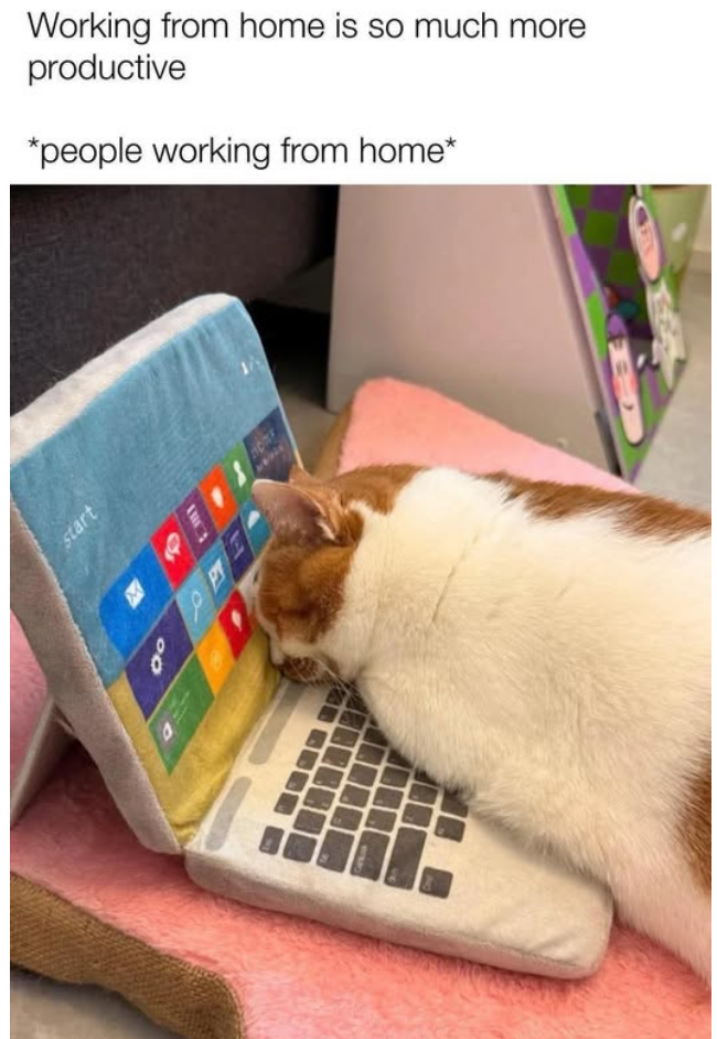 ac66aa4c-784c-4f29-a8af-55ad6524ddda