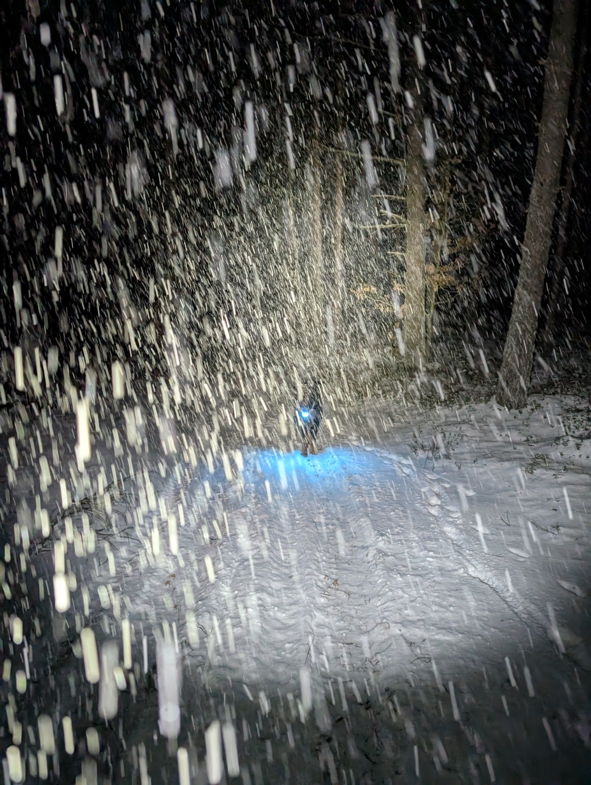 8b64a4f2-8c1d-4a2a-9bb8-c4b997637d6e