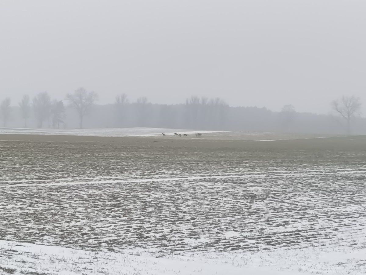 c87ab00c-bb43-452f-9880-f2e928ac8b29