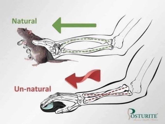 fd5974fc-3a12-49ee-b11d-d46d4ea7b3ac