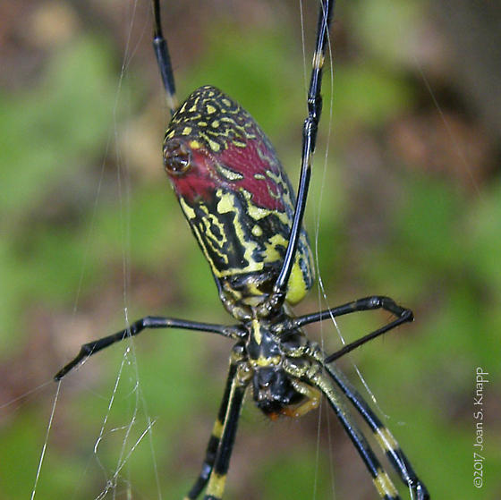 e60d1396-046f-43ad-9edf-2244e685f3a2