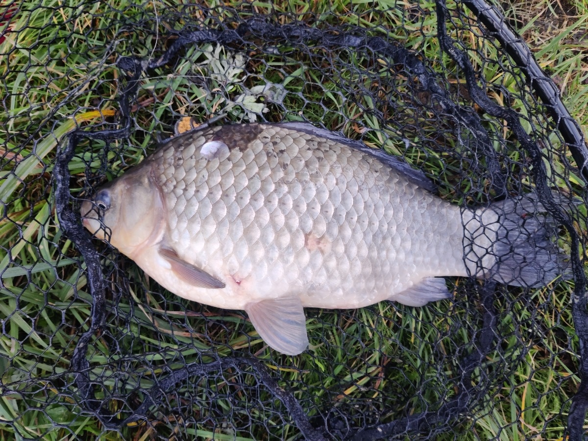 69e9be4c-c4d7-42ab-8d2b-9745e1540c36