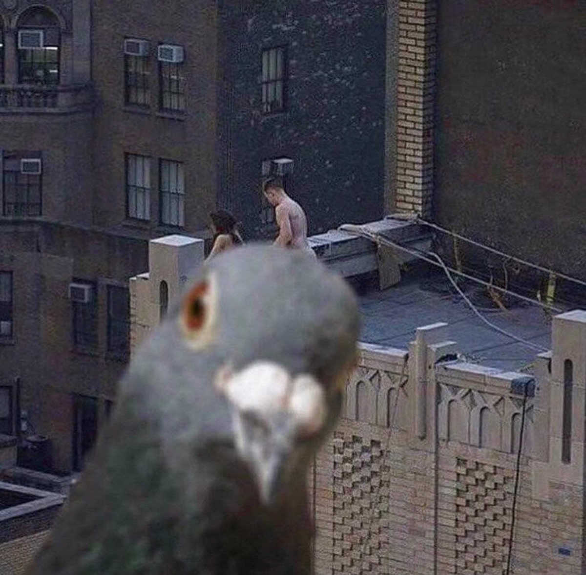 121a2639-26e9-4d1e-b201-4f2e972ac160