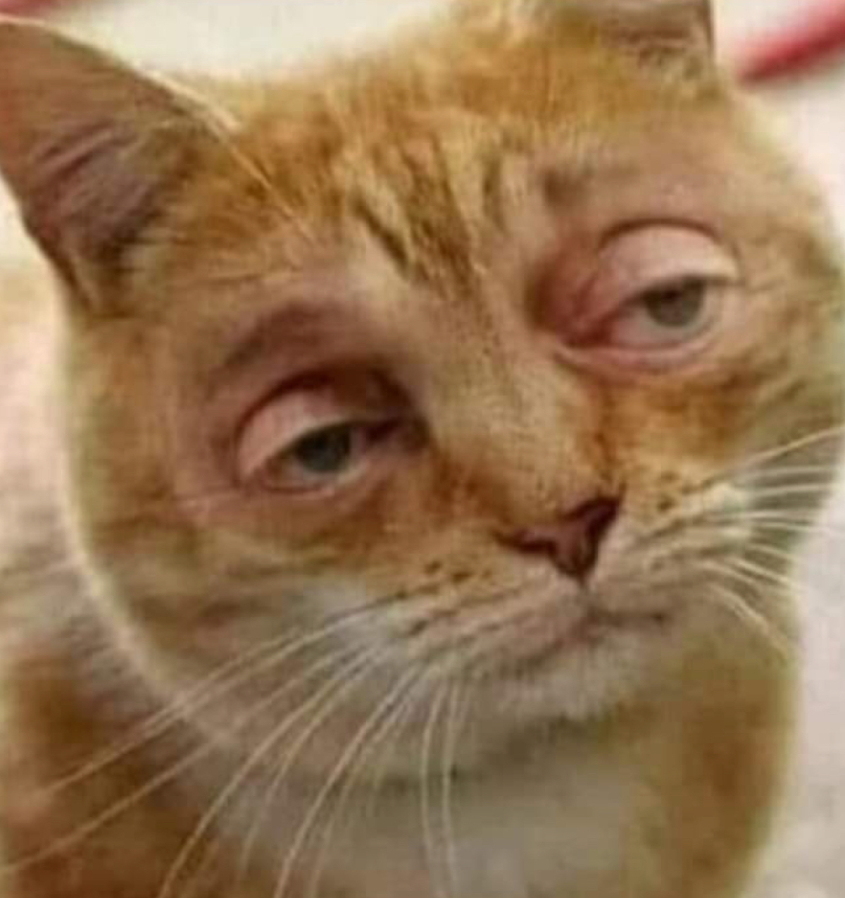 8c15c4d7-e53a-471e-9451-2bc432874e48