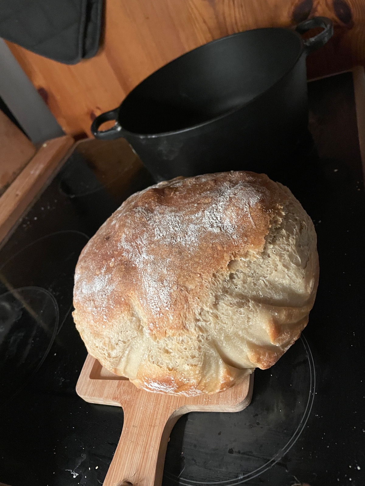 9f868e7d-1692-44b2-82aa-d80564b661b8