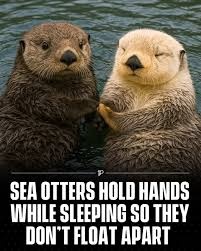 0877260f-566a-4e76-b812-c950cbac212e