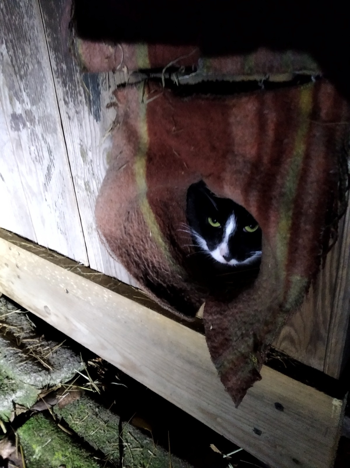 0054e684-2891-41c9-a46a-bb87d4c0fc76