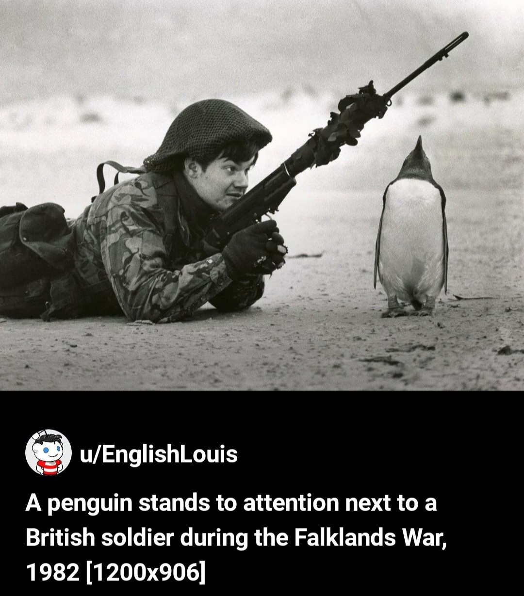 4d96f210-b89e-4369-9247-81727e57c0ea