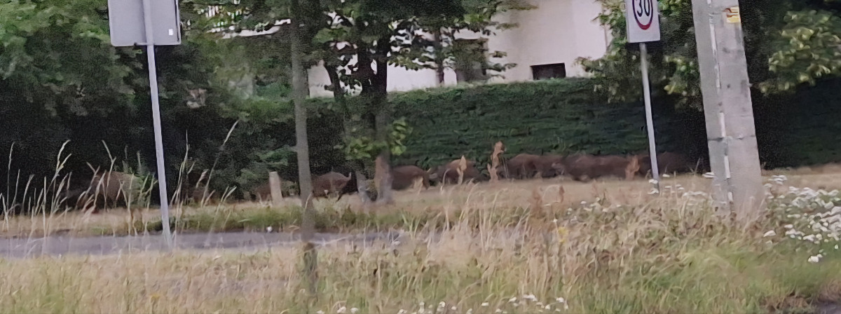 36f85e0e-051f-4033-914e-7f2729de0dfe