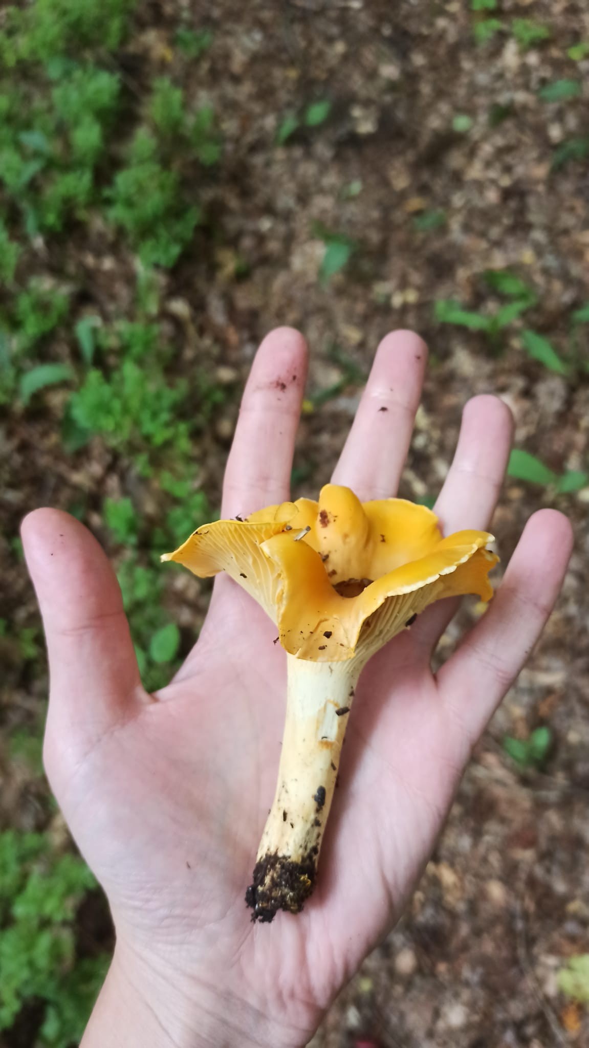 cab94925-a023-413b-b115-8f5786f90e76