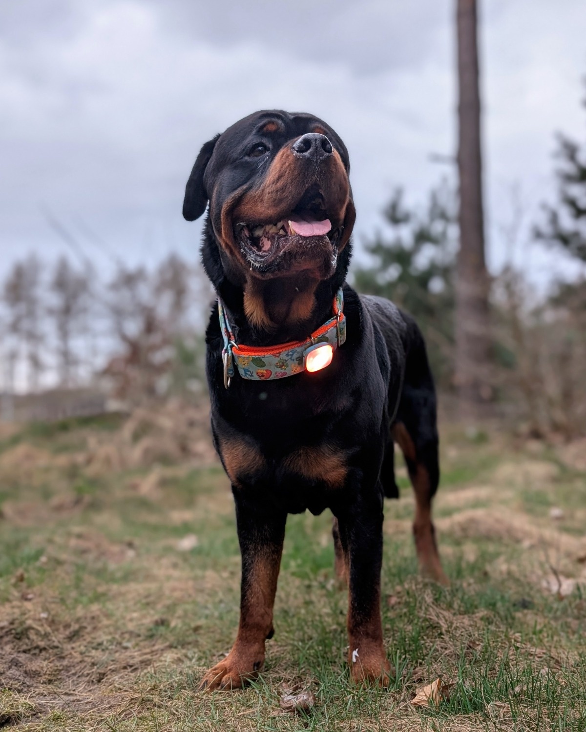 9ce0f796-c9d4-4695-afb4-d805c12f95d1