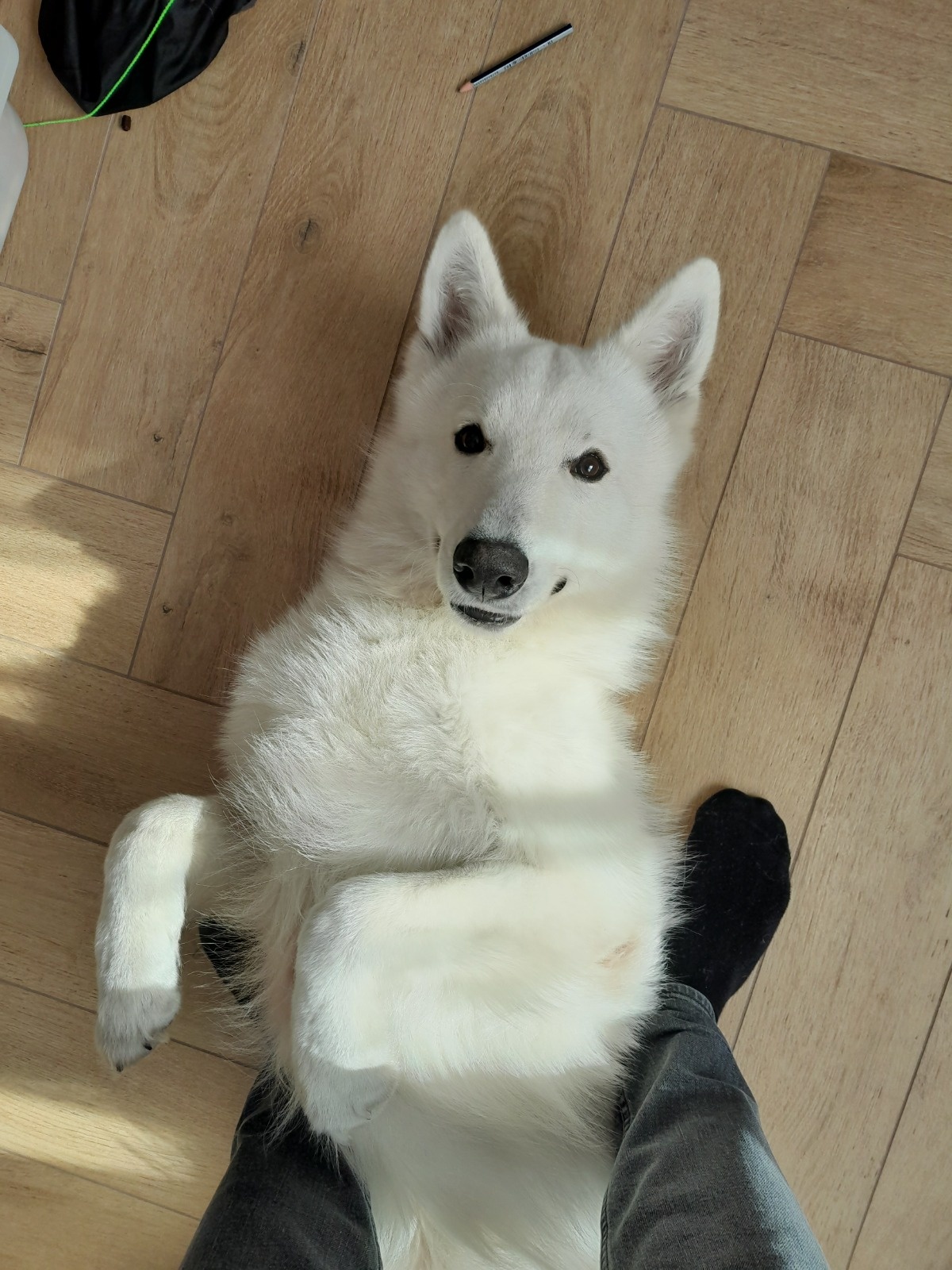 70e7220c-b8be-4b06-90d4-4c51aaef9480