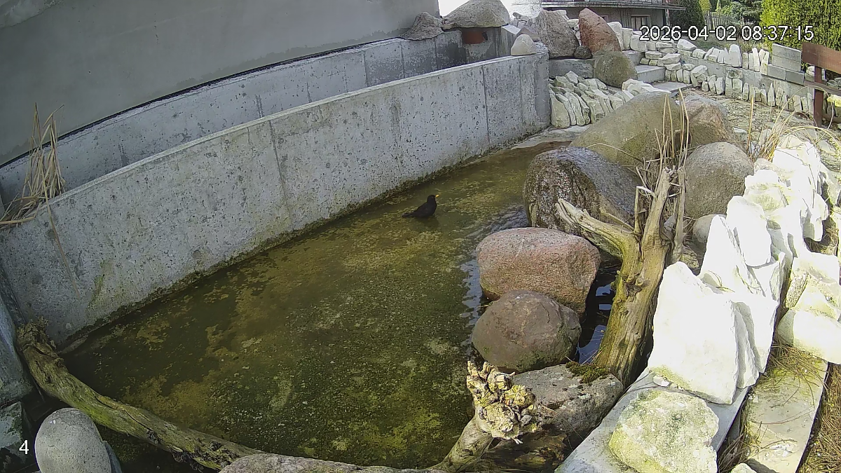 fe2a8f3d-d81a-42e1-b877-7163e2c2366e