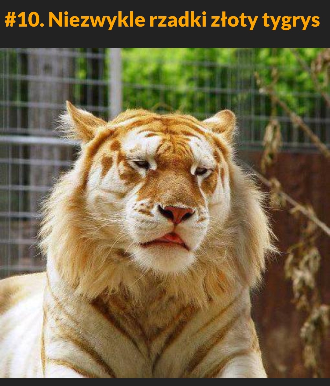 5ba86fdb-fa6e-44b6-bf26-9b12a93889cb