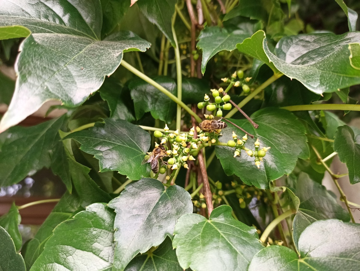 3725aac8-12ae-4ad1-8195-9f4d0db6dc8d