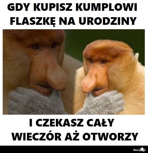 7b91306c-98a4-4acc-9016-9322e33fe347