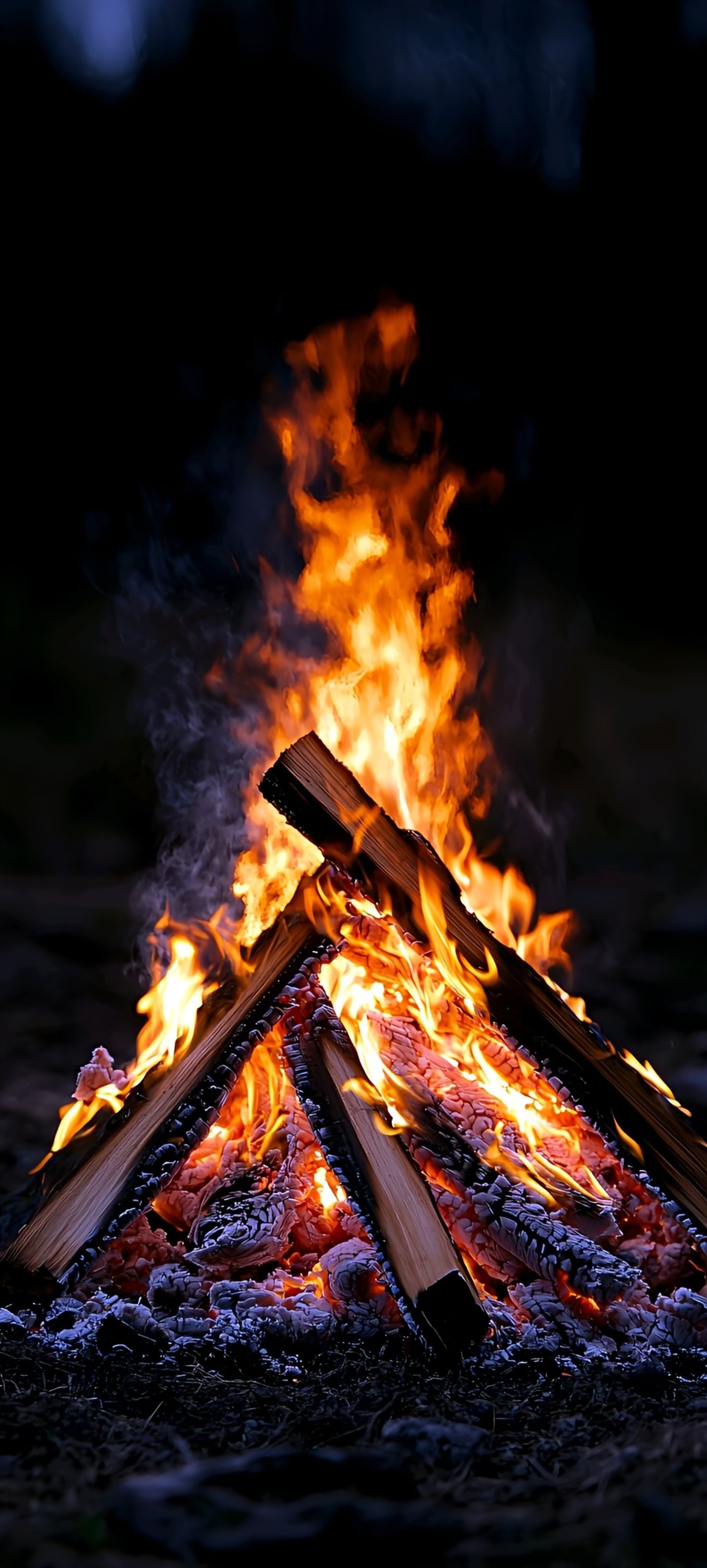 dd5009d7-9ffe-47f2-8d1a-35618b5571ed