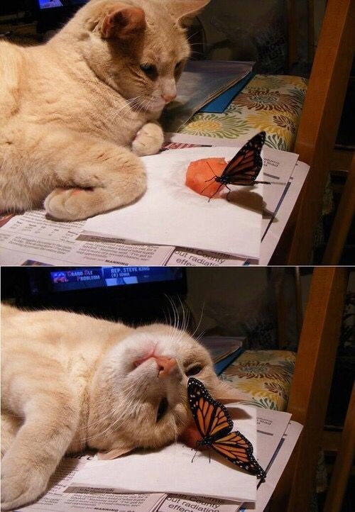 b6404e5c-b716-4113-ae5a-567252b78f7a