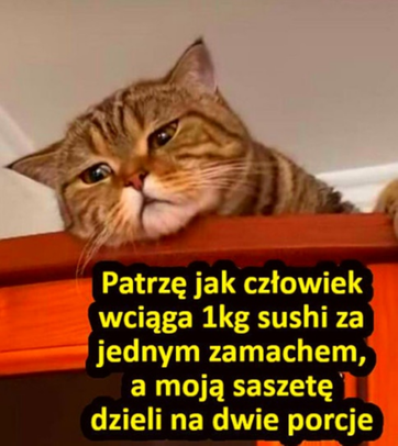 5b199791-4b9d-41a7-80c9-f670a6370294