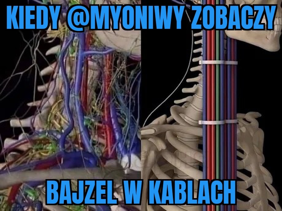 9893f47e-47cd-40cc-b9ce-196d855c9be5