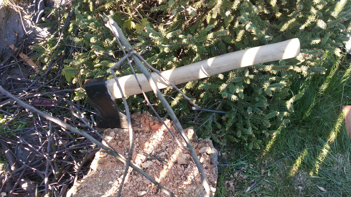 aa926235-b3dc-496e-abee-913c4e9607d8