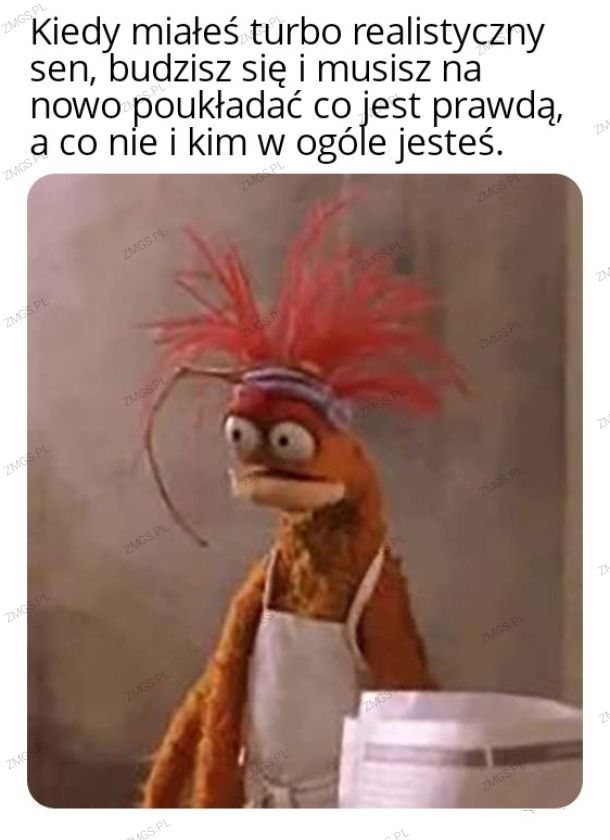 d366b3fc-ec1c-4c9d-b510-81205ef78260