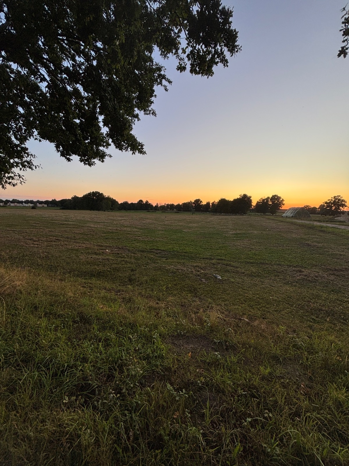 3dcd5d63-69db-4b7b-86de-25973206b934