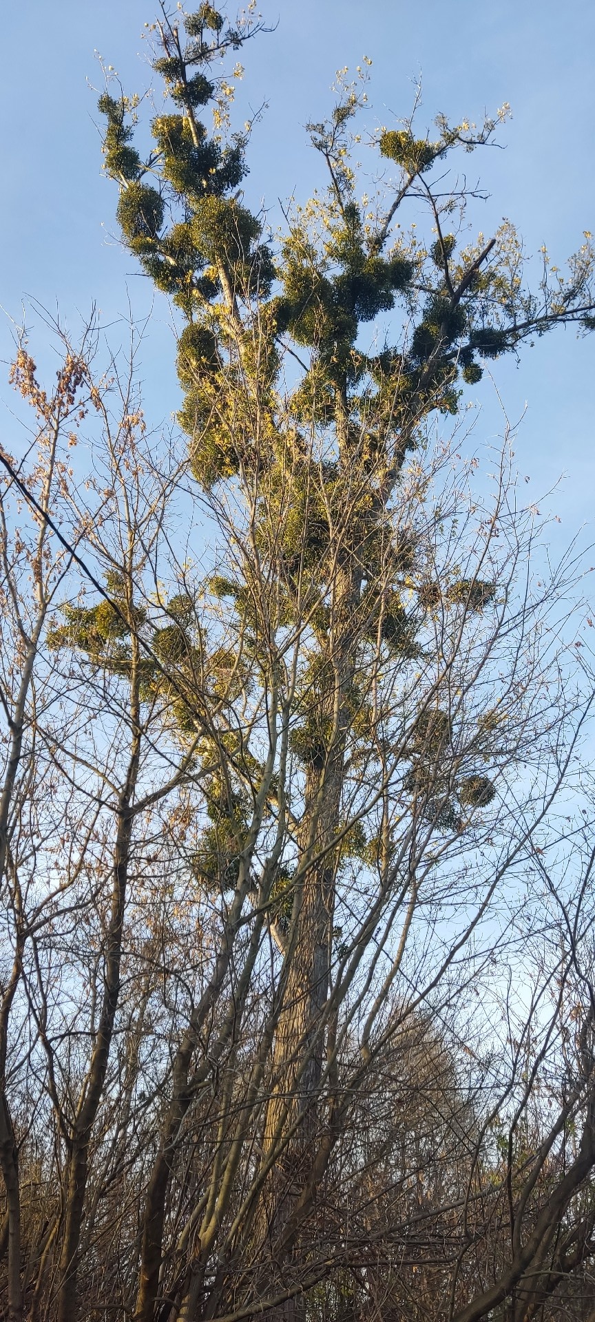 45211031-7e28-40c9-80f6-e9875d1d4ccc