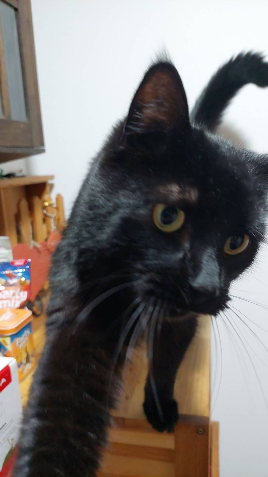 acb5e0af-38a0-45d9-957f-32f10ac77dd1