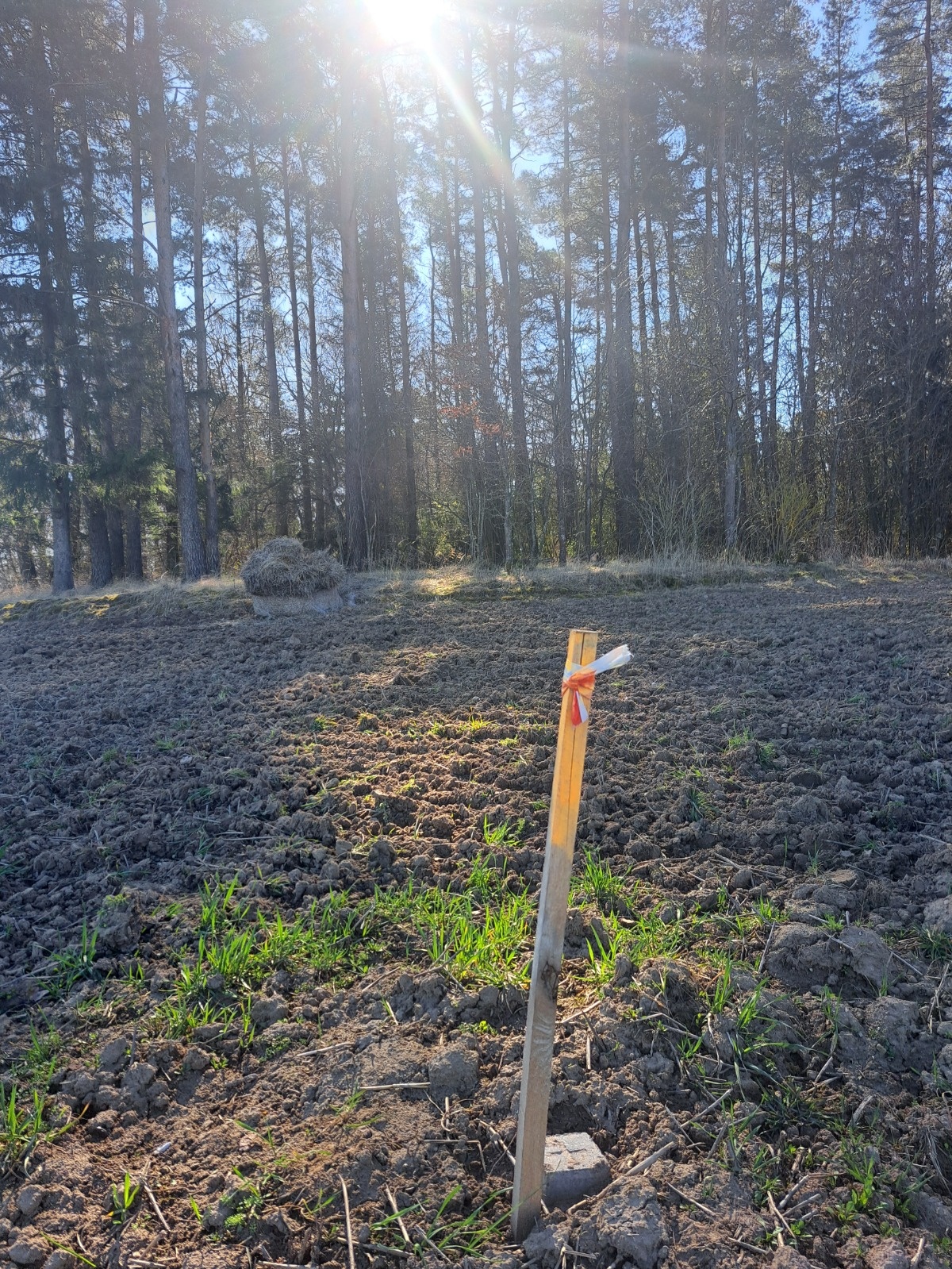 c77b7519-ba5f-4266-a7b2-63a79353ae81