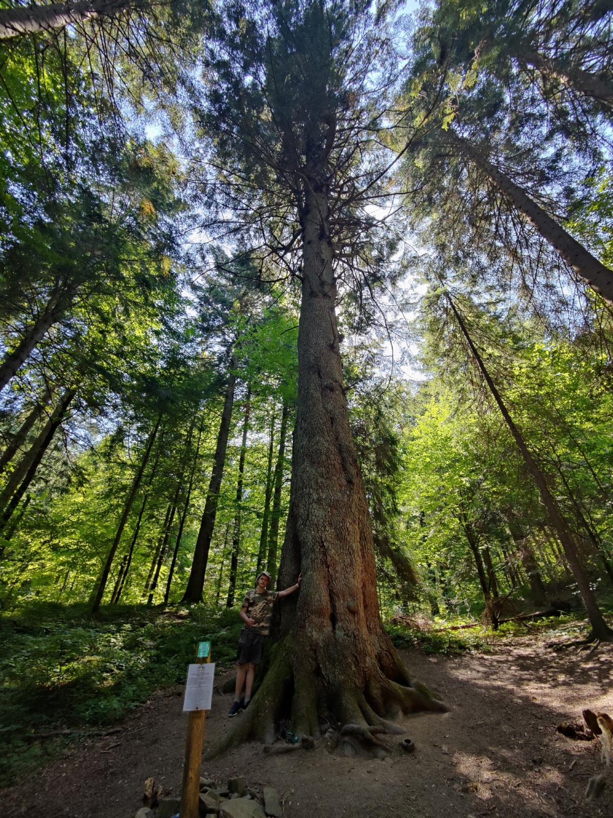 d214830b-ae88-4dca-8763-b0f6a7eb3f16