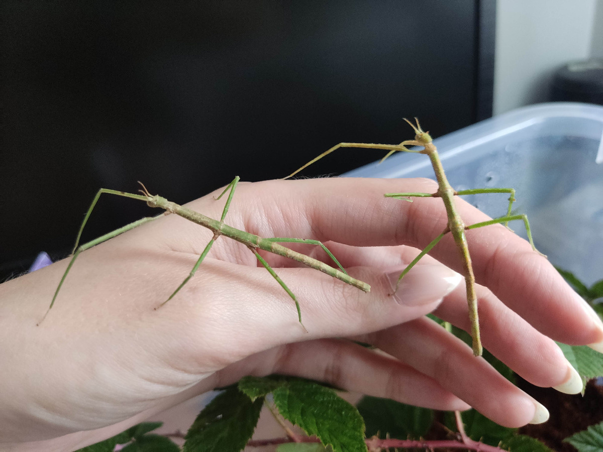 00f4bb4e-ca8b-4d97-9398-8ede7cad9d28