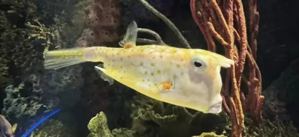 d88f048f-befa-4897-843c-e6c92e56b7b1