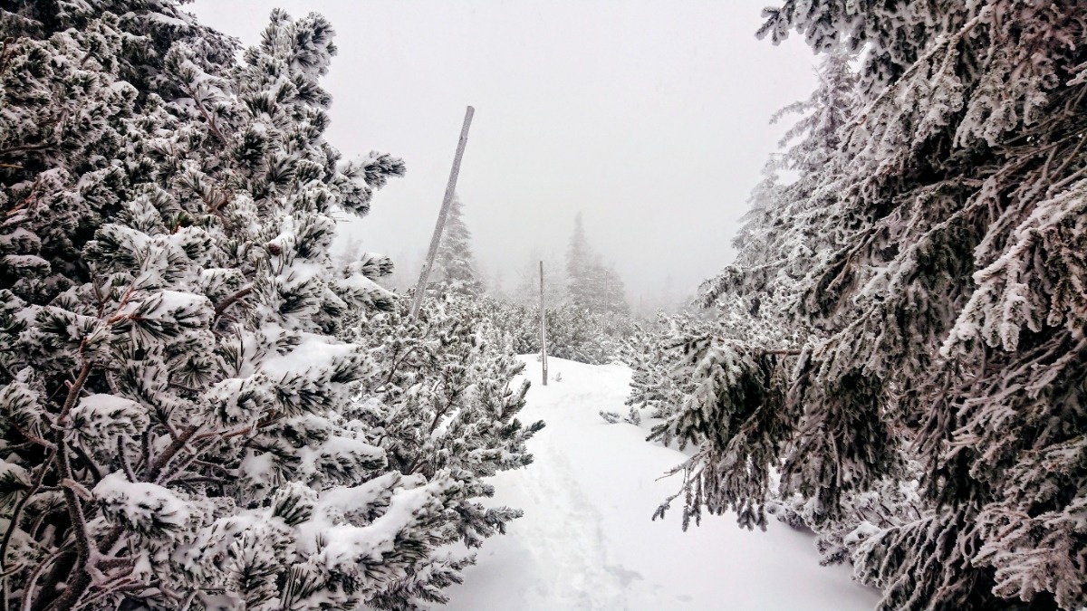 0b85d4f0-9eba-4f73-a2e2-65a8212d4e59