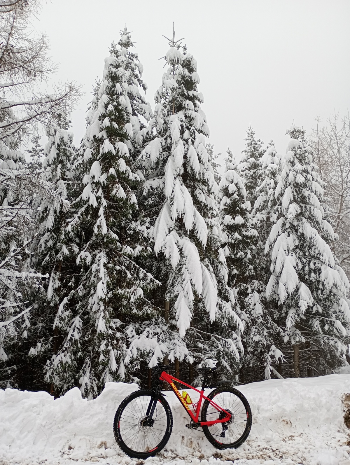 9590399f-4cb8-4a18-83c0-cd60a65b707b