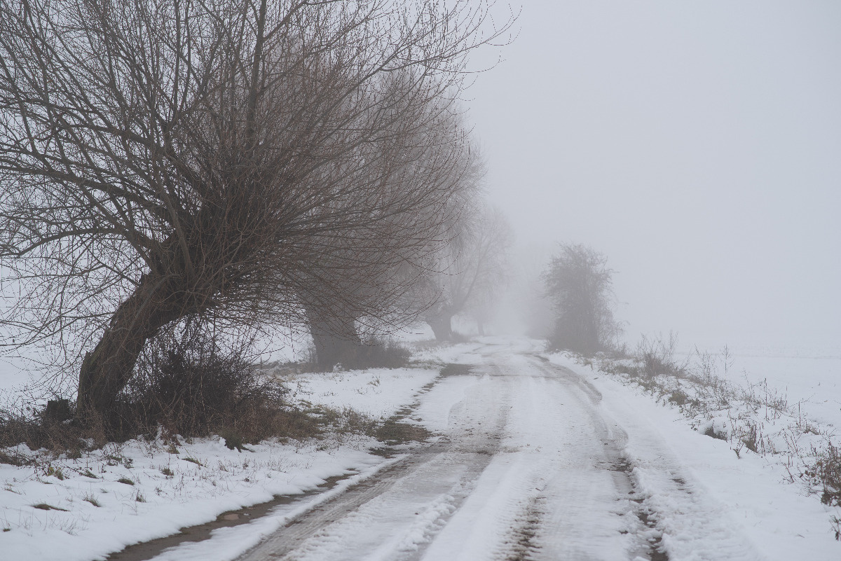 66d89244-b6bb-4e91-82d9-f962e038d906