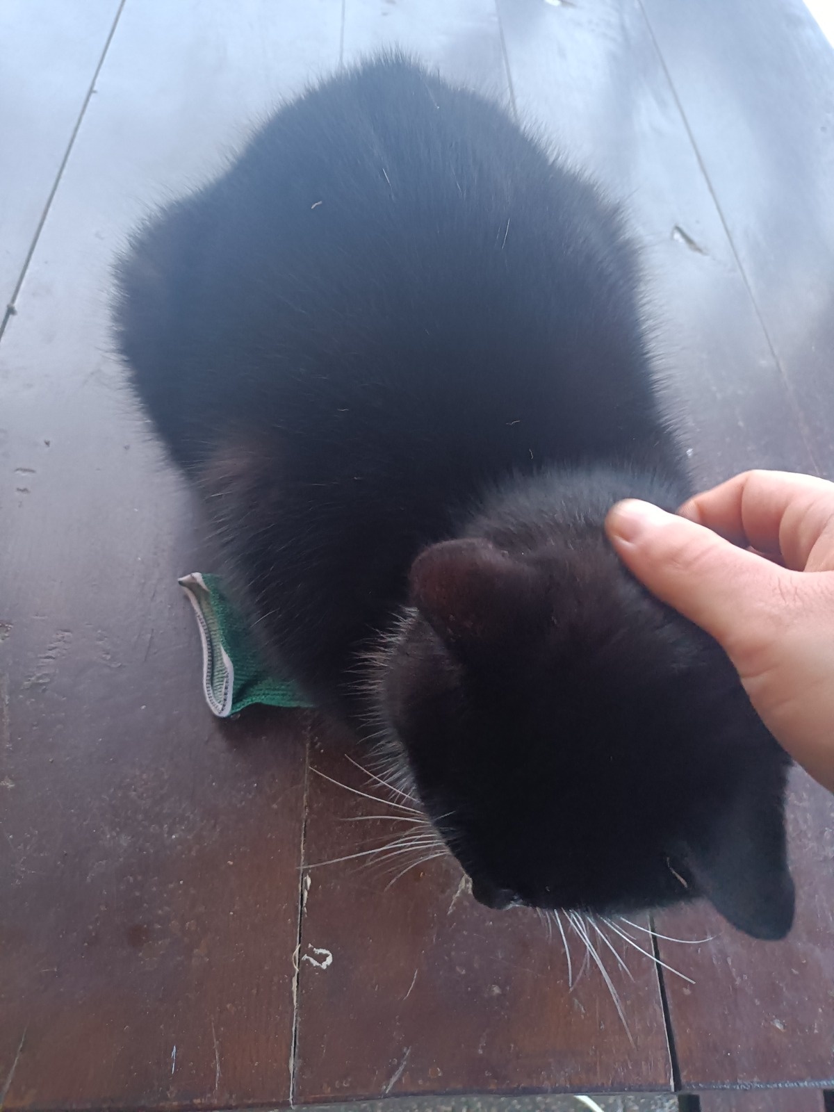 a1cf3c8c-a412-4711-96fd-41ef5fbe2d08