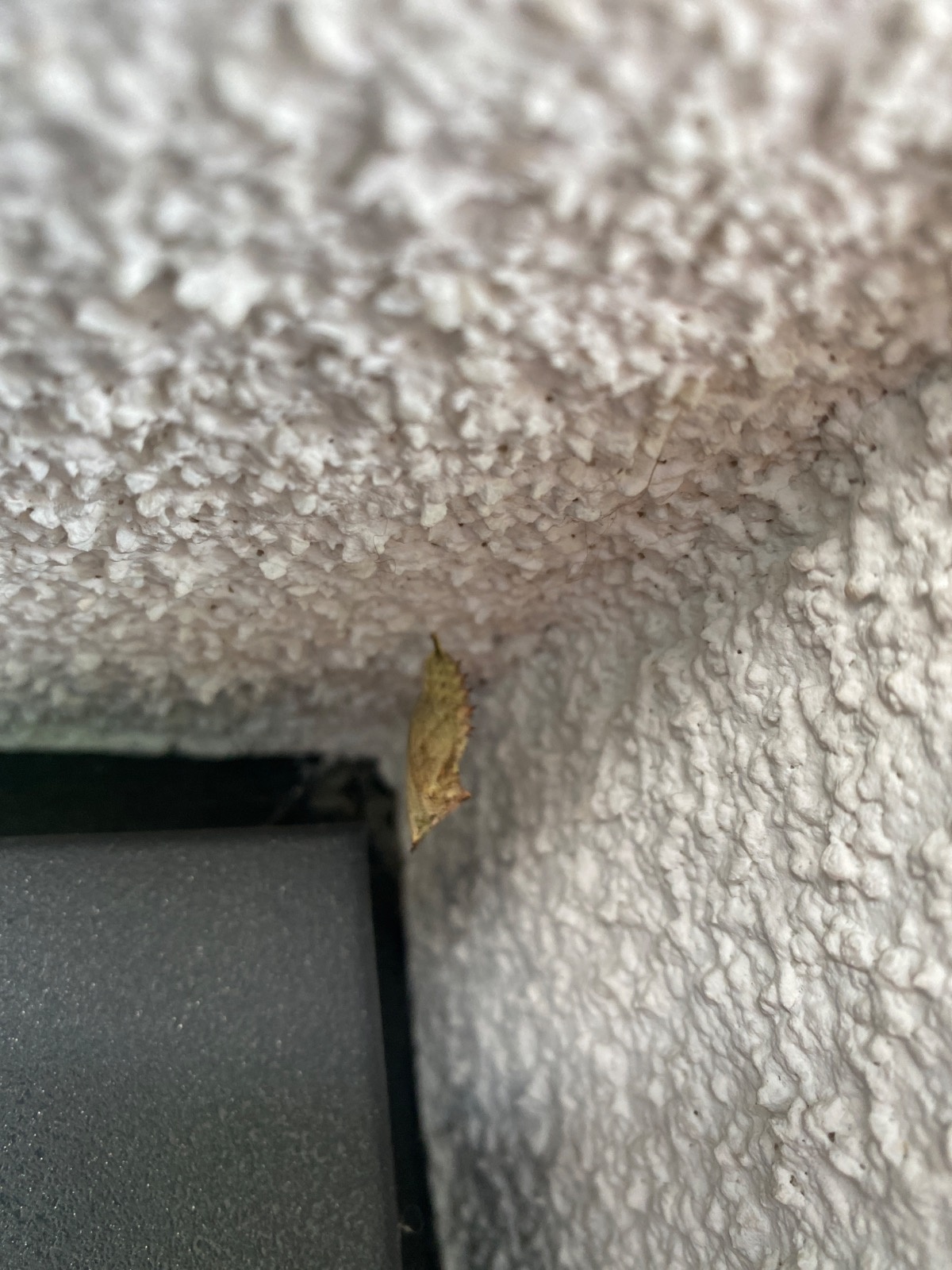 e742717d-84b0-46dc-b662-b59962106900