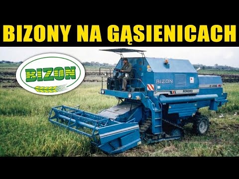 Bizon Rekord na gąsienicach i zbiór ryżu w Ekwadorze