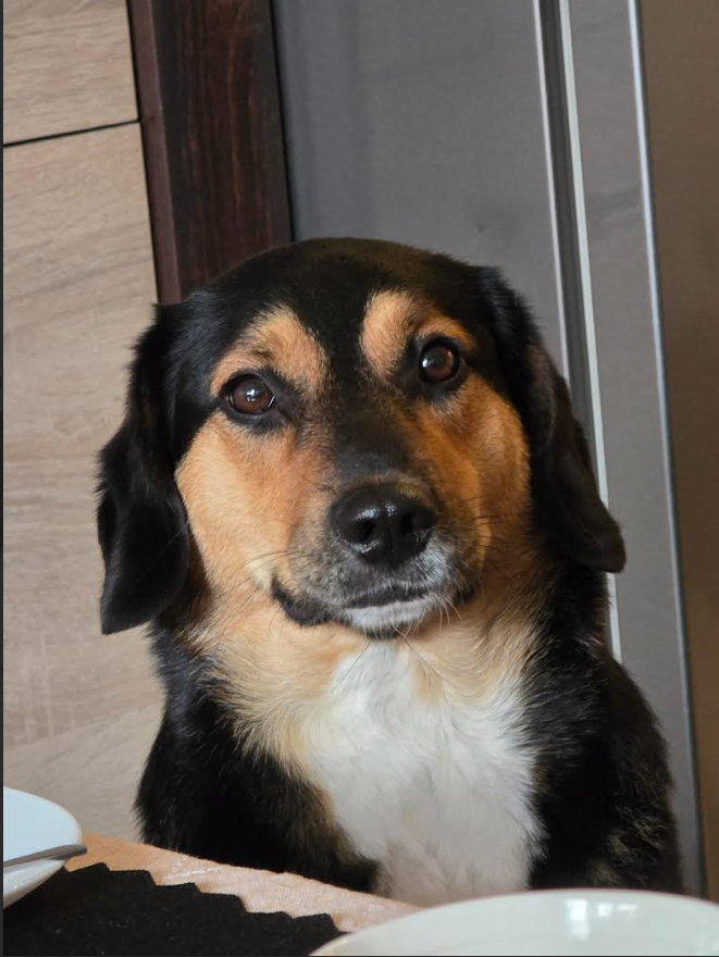 fa97d43e-6275-4660-837c-e8904e5a5751