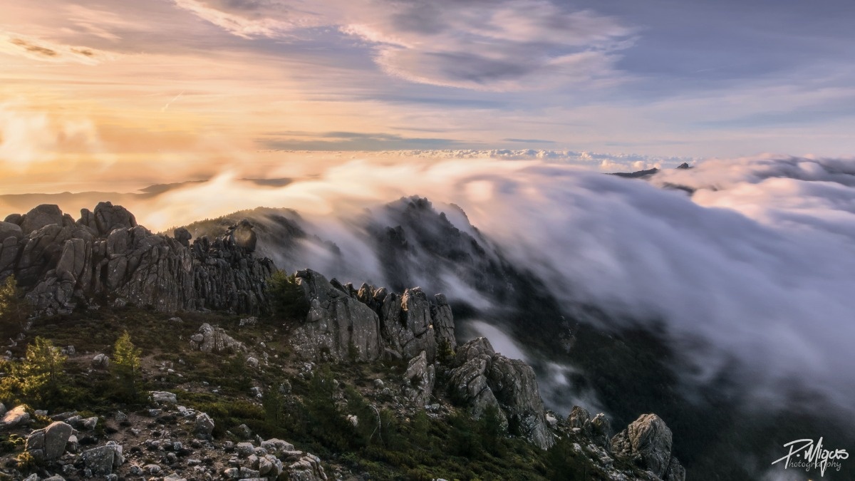 0066a243-ca05-450c-b520-af7ea2567f3c