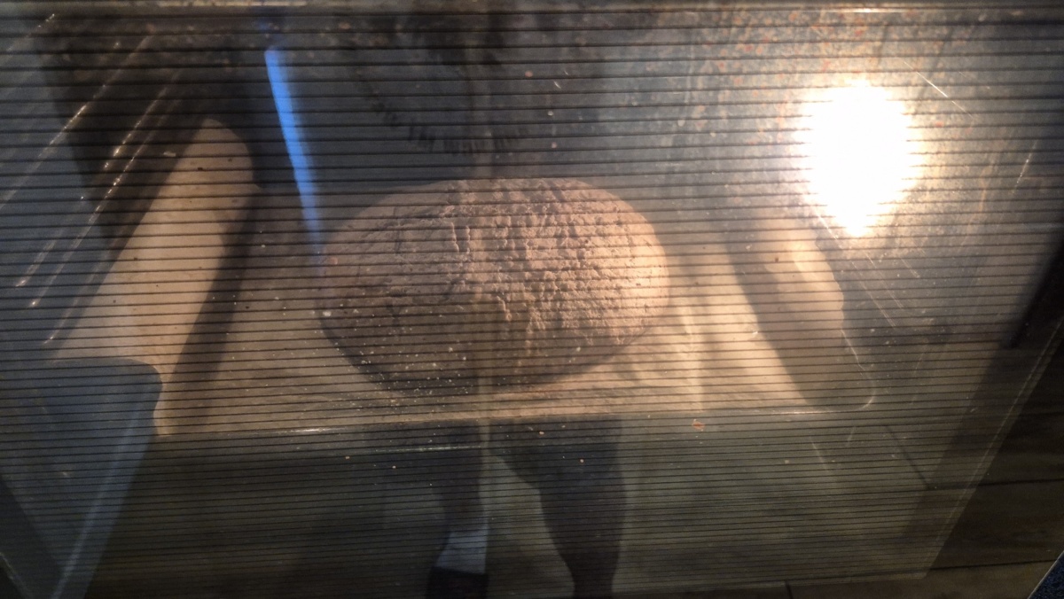 131cfc45-f139-42da-bab6-8442c4b8f03b