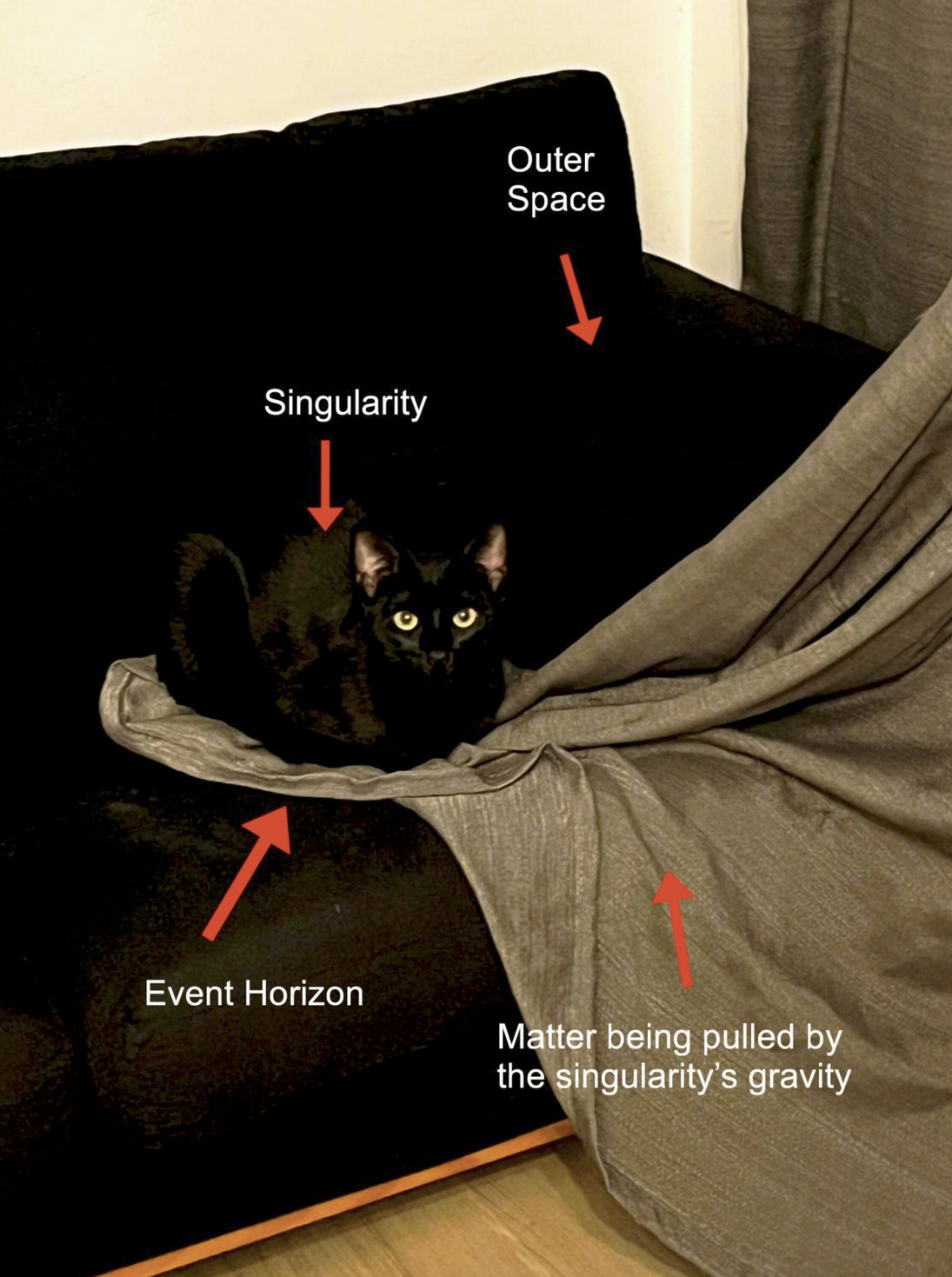 0fb74831-b3ba-4e08-beab-0646f0b4b450