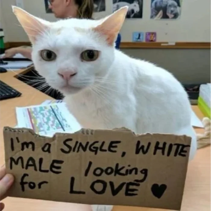 d6dbffc2-97ac-4b76-943d-7e0115401461