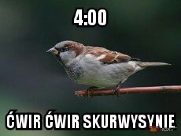 6ef4e7e2-f113-4a8f-8cf8-c8addbaa9abb