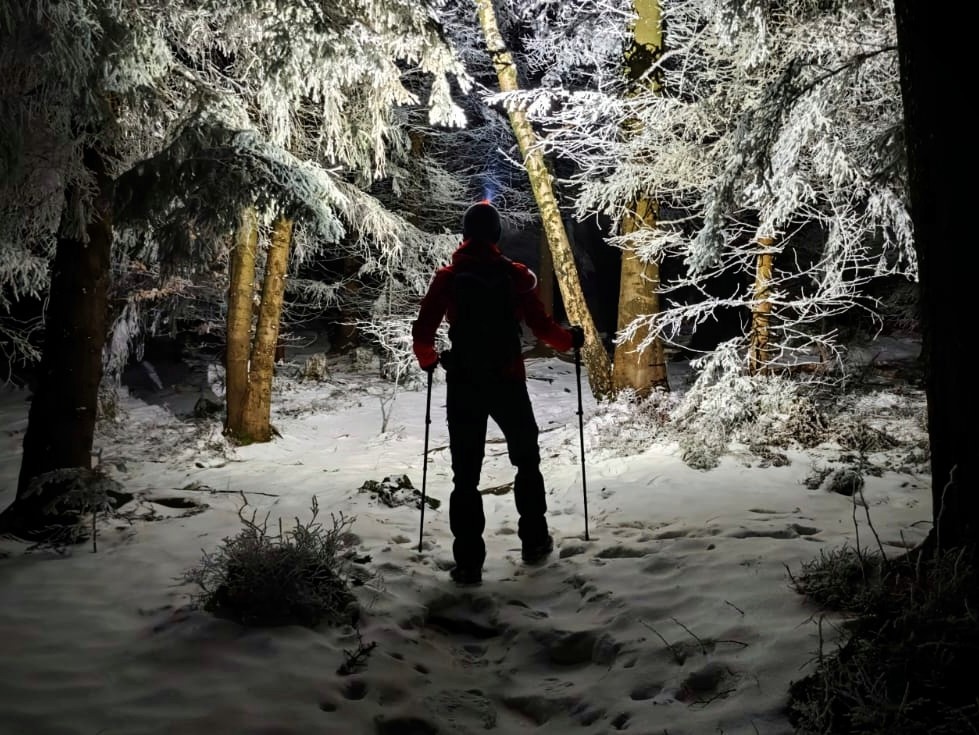 214b4fa2-5227-4453-8259-276f51c11b3c